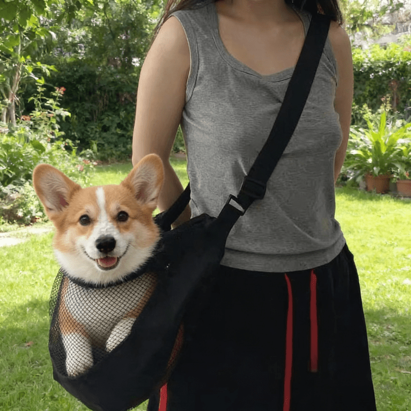 Lightweight Breathable Mesh Do - огляд і ціна Travel Accessories For Dogs