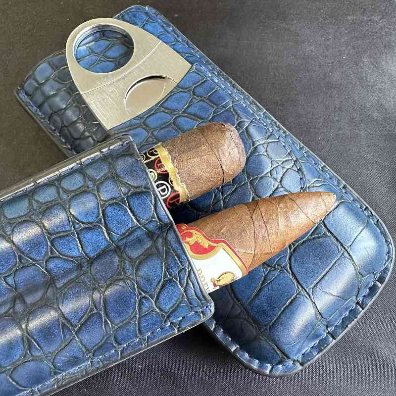 Cigar Tube 2 Slots Case with C - огляд і ціна Travel Accessories Youtube