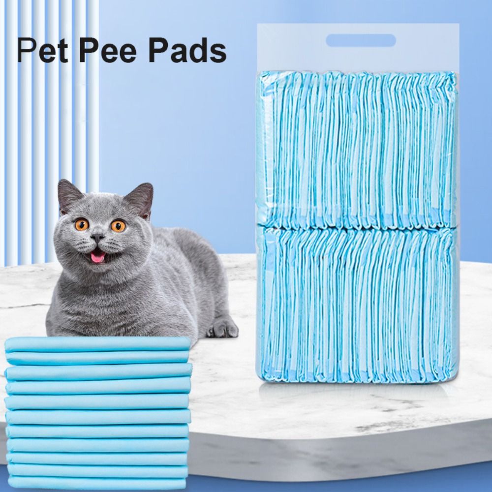 100/50/40/20 PCS Thickened Pet - огляд і ціна Quality Travel Accessories